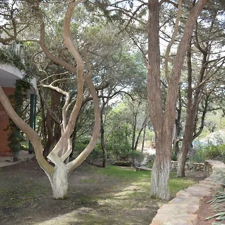 Villarotonda A Notteri